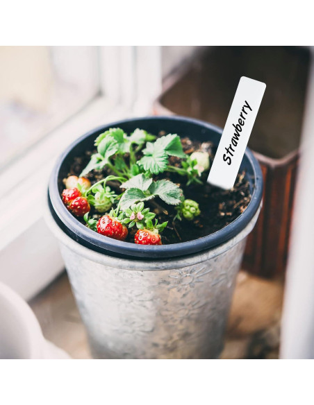 Etiquetas de Jardín de Plástico KINGLAKE 600 Pcs 2x10 cm