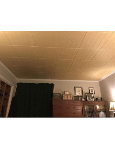 Azulejo de Techo de Espuma LA MAISON R104 Blanco Sólido 2.01 m