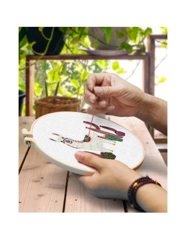 Kit de Bordado TINDTOP para Principiantes - 2 Telas, Aro y Herramientas