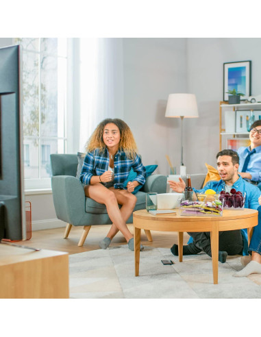 Organizadores de Almacenamiento Puricon 2 Pack 26.5x13x8.9 cm