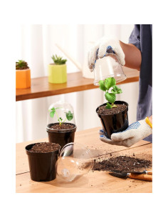 Macetas de Vivero Homenote 3" con Drenaje y Etiquetas - 30 Pzas 2