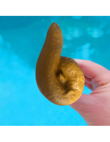 Termómetro de piscina flotante Liubalsenml 2 pcs diseño divertido