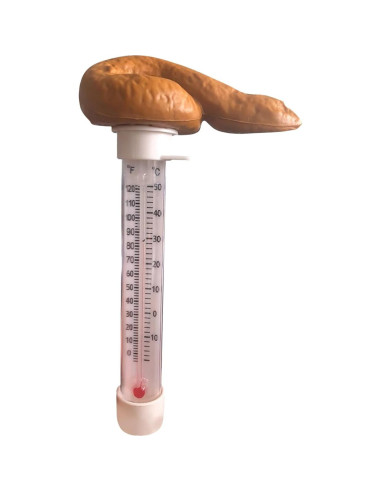 Termómetro de piscina flotante Liubalsenml 2 pcs diseño divertido