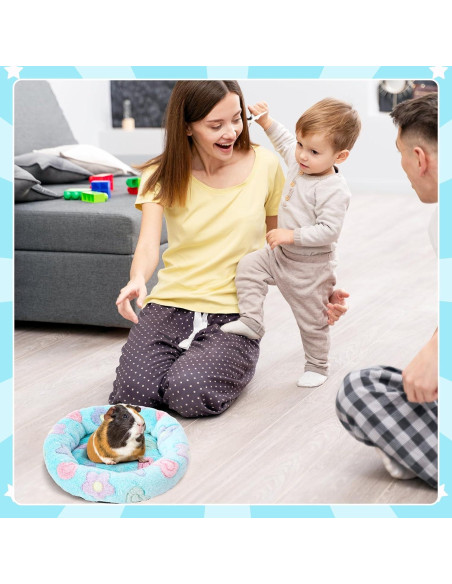 Cama para Cobayas y Pequeñas Mascotas FEBSNOW 30cm