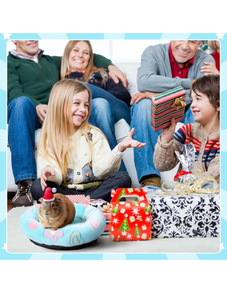 Cama para Cobayas y Pequeñas Mascotas FEBSNOW 30cm