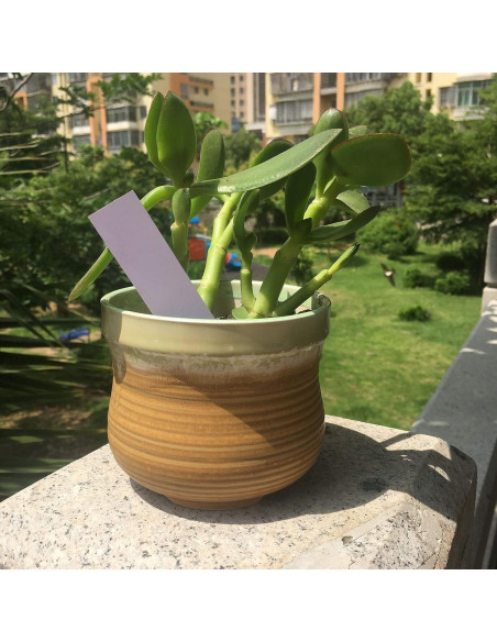 100 Etiquetas de Plástico para Jardín MIHEY 10 cm Blancas