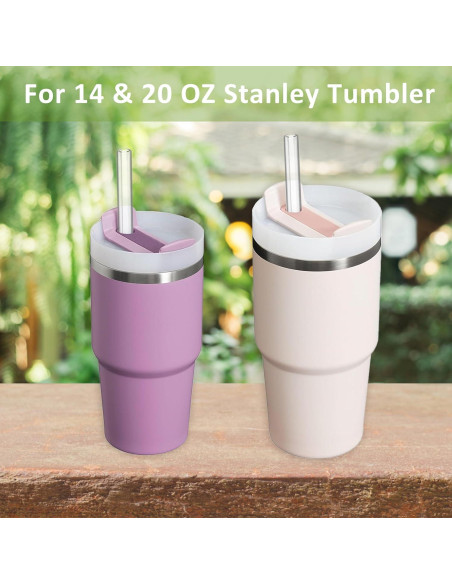 Pajitas Reutilizables LEPCY 21.6 cm para Taza Stanley 14 y 20 OZ