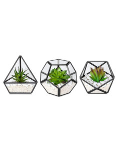 Terrarios Geométricos de Vidrio Mkono - 3 Piezas con Suculentas