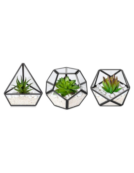 Terrarios Geométricos de Vidrio Mkono - 3 Piezas con Suculentas