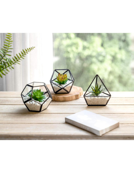 Terrarios Geométricos de Vidrio Mkono - 3 Piezas con Suculentas