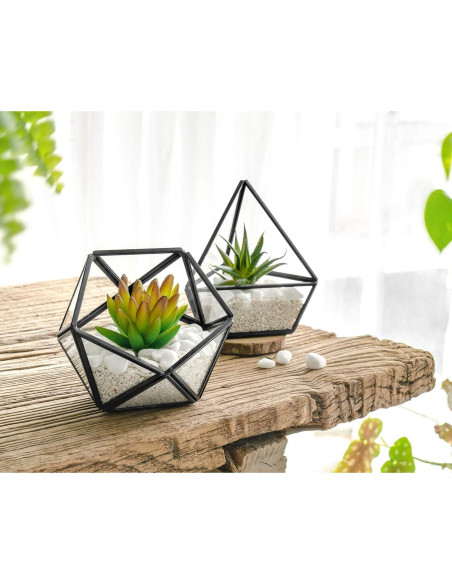 Terrarios Geométricos de Vidrio Mkono - 3 Piezas con Suculentas