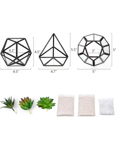 Terrarios Geométricos de Vidrio Mkono - 3 Piezas con Suculentas