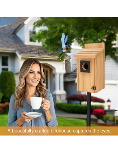 Kit Casa de Aves de Madera Rioychan con Pintura DIY 14x12.4x26.9cm