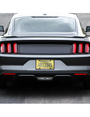 Combo Marco de Placa de Licencia FBJTDQ - Metal Carbono 30.48x15.24cm