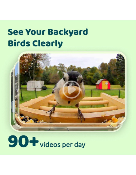 Comedero de Aves Inteligente NETVUE de Bambú con Cámara 1080P Comedero de Aves Inteligente NETVUE de Bambú con Cámara 1080P