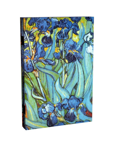 Pantalla Plegable de Lienzo Van Gogh 3 Paneles 120x60 cm