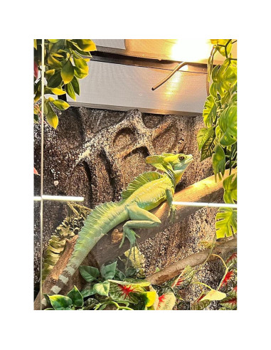 Bombilla de Calor 80W REPTISPA UVA UVB para Reptiles