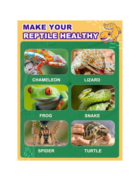 Bombilla de Calor 80W REPTISPA UVA UVB para Reptiles