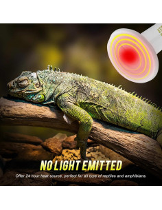 Lámpara de Calor Cerámica 50W WUHOSTAM 3 Paquetes Blanca 2