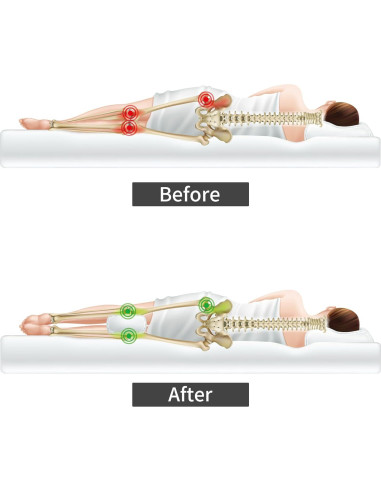 Almohada para Rodillas BALAPET 66 cm Algodón Transpirable