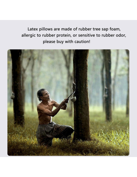 Cojín cervical ergonómico TIERSINI de látex natural 4.7/5.5"