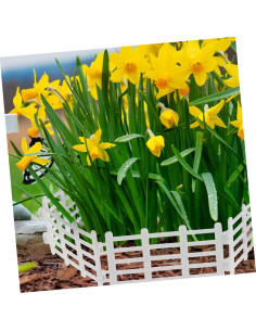 Cerca de Jardín Miniatura SUPVOX 50 Piezas Blanco PP 2