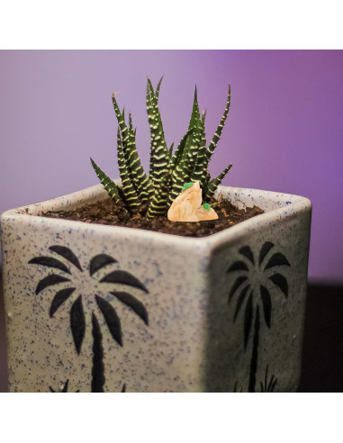 12 Adornos de Montaña en Miniatura para Acuario Ipetboom