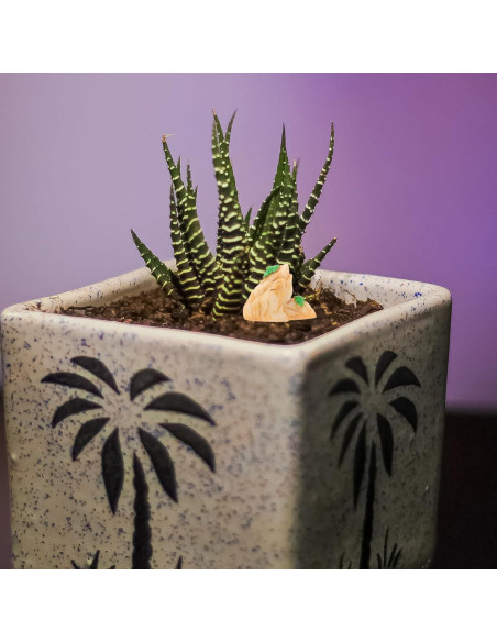 12 Adornos de Montaña en Miniatura para Acuario Ipetboom 12 Adornos de Montaña en Miniatura para Acuario Ipetboom