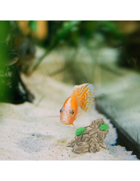 12 Adornos de Montaña en Miniatura para Acuario Ipetboom 12 Adornos de Montaña en Miniatura para Acuario Ipetboom