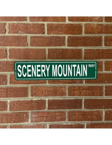 Señal de Calle de Aluminio Hermandad 47x10 cm Montaña Escénica