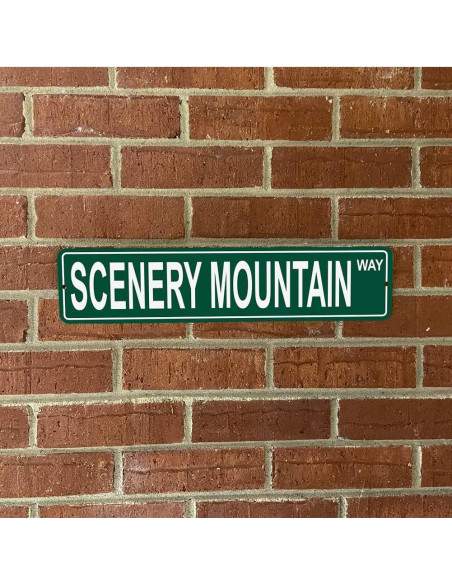 Señal de Calle de Aluminio Hermandad 47x10 cm Montaña Escénica