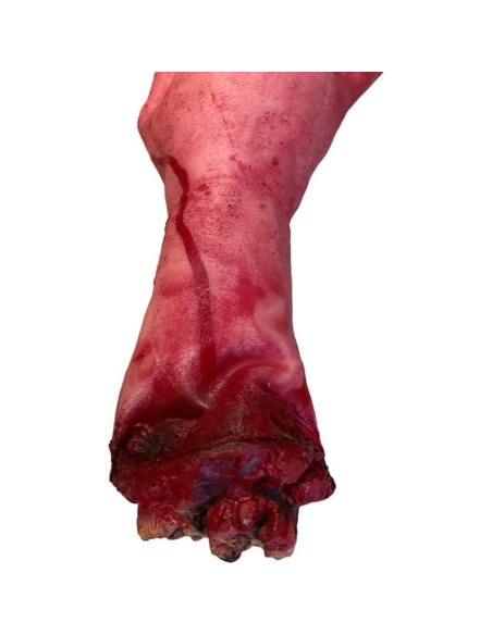 Mano Falsa de Halloween MAGICLULU 2 Piezas 30x12 cm Goma