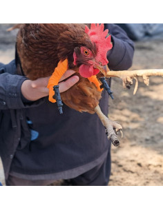 Brazo Falso de Pollo con Decoración de Arma LUOBEIYAOHL Amarillo 2