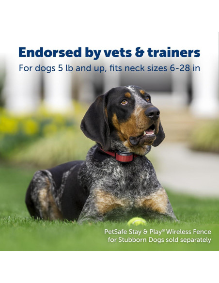 Collar Inalámbrico PetSafe para Perros Obstinados, Recargable y Resistente al Agua Collar Inalámbrico PetSafe para Perros Obstinados, Recargable y Resistente al Agua