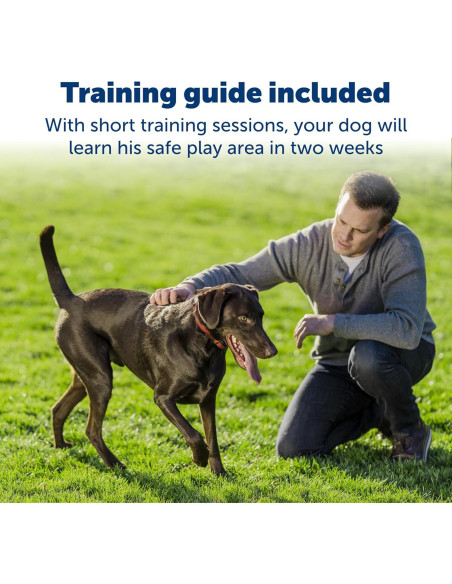 Collar Inalámbrico PetSafe para Perros Obstinados, Recargable y Resistente al Agua Collar Inalámbrico PetSafe para Perros Obstinados, Recargable y Resistente al Agua