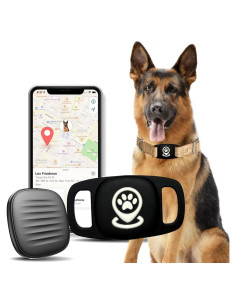 Rastreador de Mascotas iOS GBVP con Actualizaciones en Tiempo Real