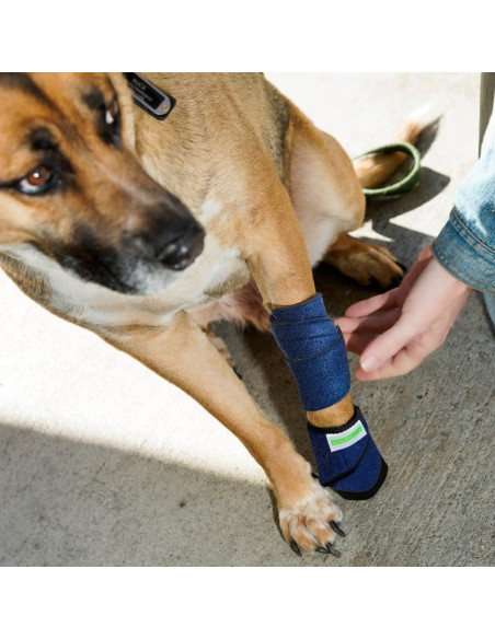 Botín Médico Healers Petcare para Perros - Protección de Patas X-Large