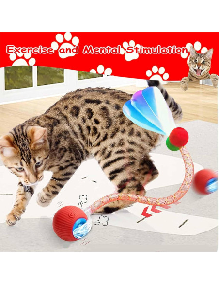 Juguete Interactivo para Gatos y Perros JinRui-T Bola Rodante 2 Pcs