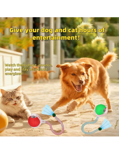 Juguete Interactivo para Gatos y Perros JinRui-T Bola Rodante 2 Pcs