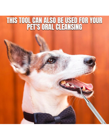 Escalador Dental Profesional Boujee Trends Doble Cara Acero Inoxidable