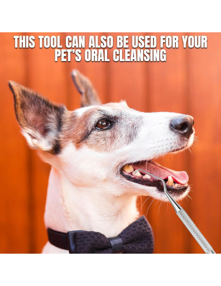 Escalador Dental Profesional Boujee Trends Doble Cara Acero Inoxidable