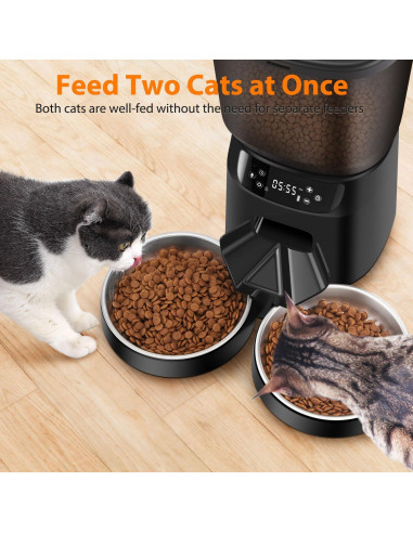 Dispensador Automático de Comida y Agua para Gatos CORGOTE 5L