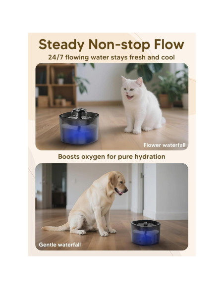 Dispensador Automático de Comida y Agua para Gatos CORGOTE 5L