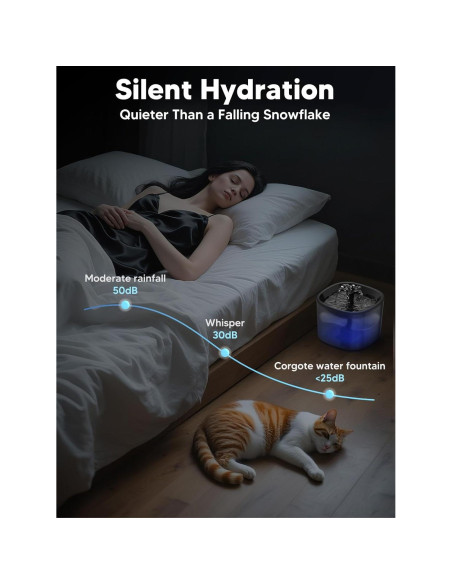 Dispensador Automático de Comida y Agua para Gatos CORGOTE 5L