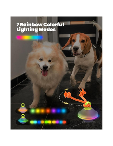 Bola Interactiva para Perros Xeuch XEUCH-BALL Azul 6.6cm