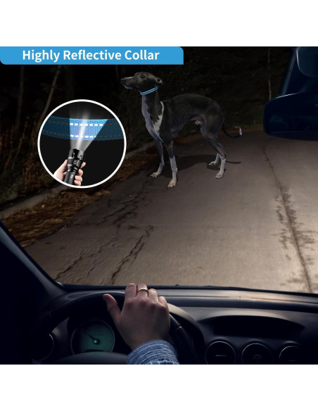 Correa de Reemplazo PaiPaitek para Collares de Entrenamiento - Reflectante y Duradera, 2 Paquetes