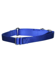 Collar Martingale Ajustable PetSafe Mediano 1.9 cm Azul Real