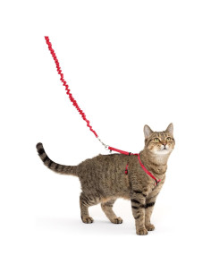 Arnés y Correa Elástica PetSafe Come With Me Kitty Mediano Rojo