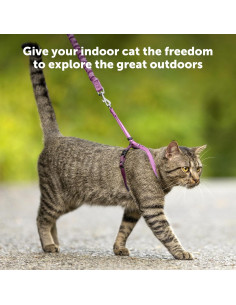 Arnés y Correa Elástica PetSafe Come With Me Kitty Mediano Rojo 2