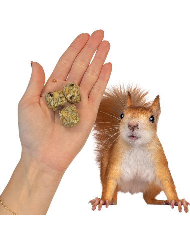 Bloques Nutricionales para Ardillas Exotic Nutrition 283.5 g